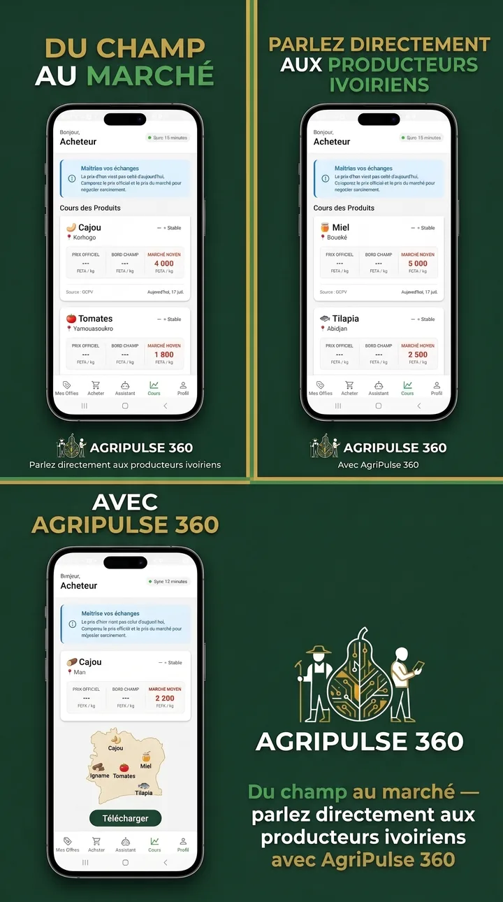 Du champ au marché : parlez directement aux producteurs ivoiriens avec AgriPulse 360